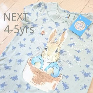 ネクスト(NEXT)のnext ピーターラビット カットソー Tシャツ 110 新品 女の子 キッズ(Tシャツ/カットソー)