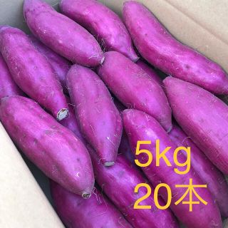 さつまいも　紅あずま　Mサイズ　5kg(野菜)