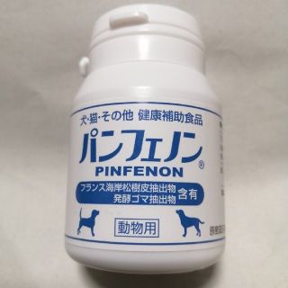 値下げ不可スケアクロウ　パンフェノン新品(犬)