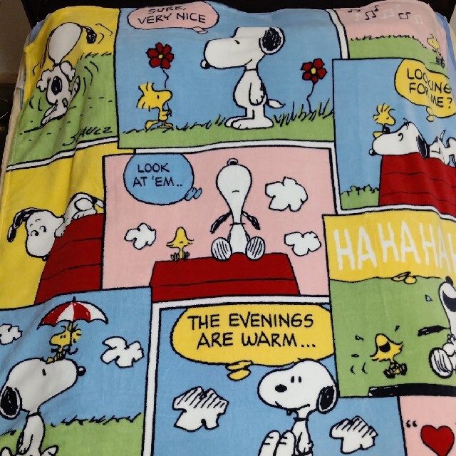 SNOOPY(スヌーピー)のスヌーピー SNOOPY 毛布/ブランケット/140x200cm キッズ/ベビー/マタニティの寝具/家具(毛布)の商品写真