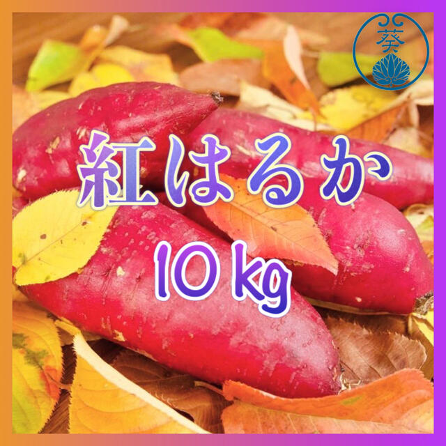 紅はるか＊Y様専用 食品/飲料/酒の食品(野菜)の商品写真