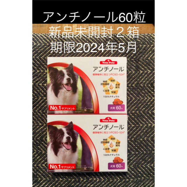 犬用アンチノール60粒入り２箱 特売 3960円引き www.gold-and-wood.com