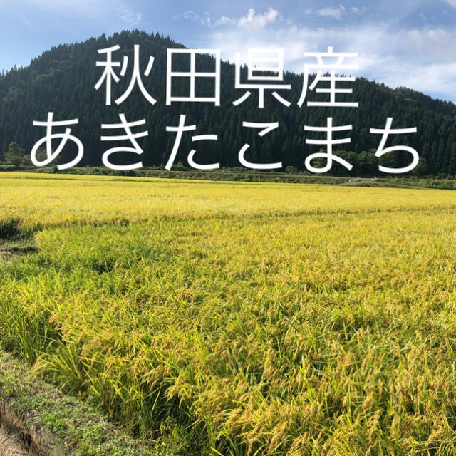 新米　令和三年産　秋田県産　あきたこまち　玄米　30kg 食品/飲料/酒の食品(米/穀物)の商品写真