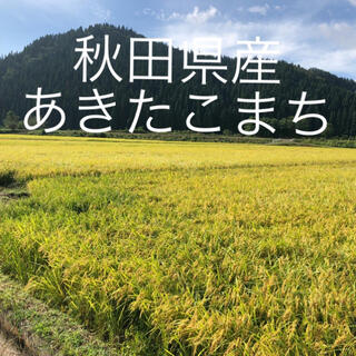 新米　令和三年産　秋田県産　あきたこまち　玄米　30kg(米/穀物)