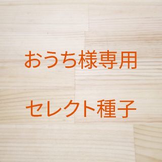 おうち様専用　セレクト種子　3袋(野菜)