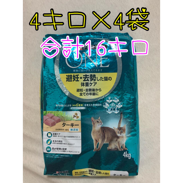 全商品オープニング価格！ 4kg✖︎4袋 ピュリナ ワン キャットフード