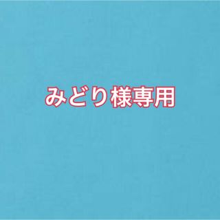 ジャニーズ(Johnny's)のみどり様確認用　ちびぬい　佐野くん　学ラン(アイドルグッズ)