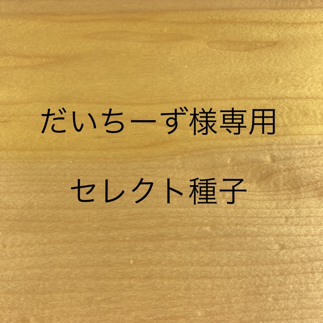 だいちーず様専用　セレクト種子　8袋 食品/飲料/酒の食品(野菜)の商品写真