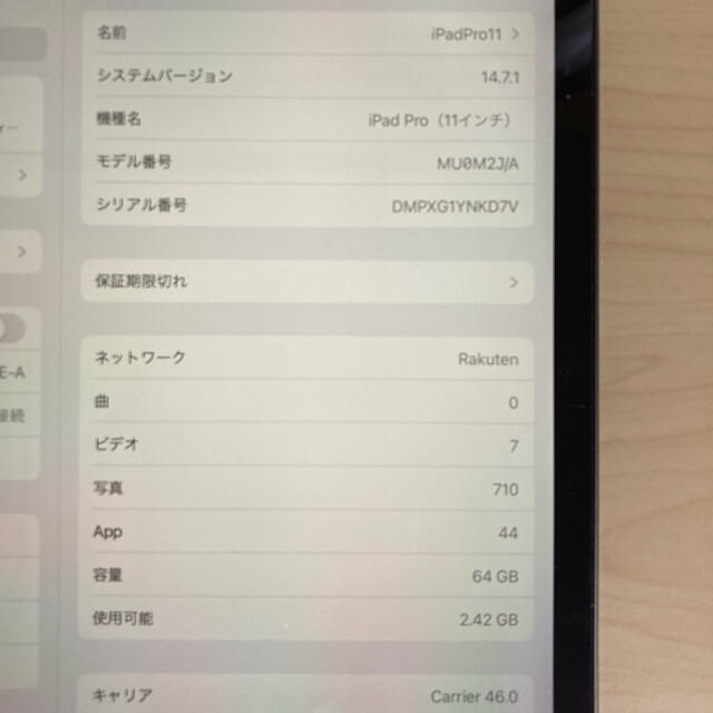 iPad Pro 11 インチ　Cellular model 64GB