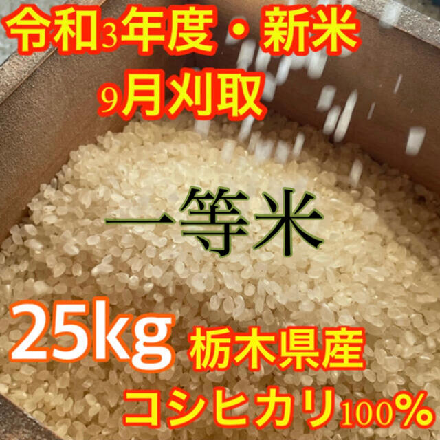 食品/飲料/酒【R2年度古米・玄米】指定有料農地で採れた栃木県産ブランド米コシヒカリ 25kg