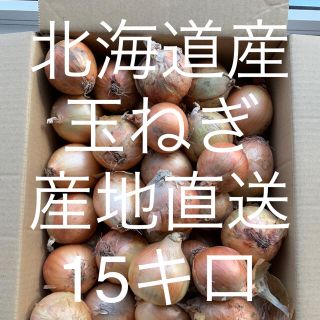 北海道産玉ねぎ　15キロ(野菜)