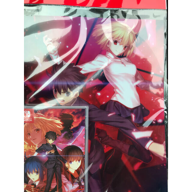 Nintendo Switch(ニンテンドースイッチ)のMELTY BLOOD: TYPE LUMINA switch メルティブラッド エンタメ/ホビーのゲームソフト/ゲーム機本体(家庭用ゲームソフト)の商品写真