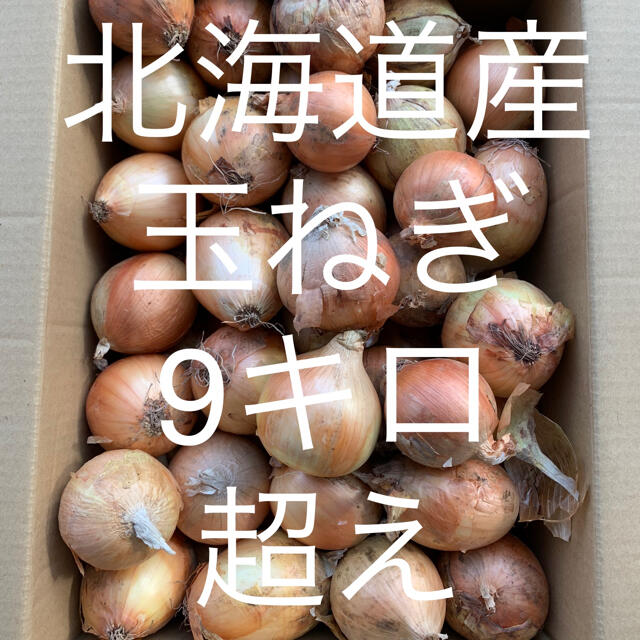 北海道産玉ねぎ　9キロ 食品/飲料/酒の食品(野菜)の商品写真