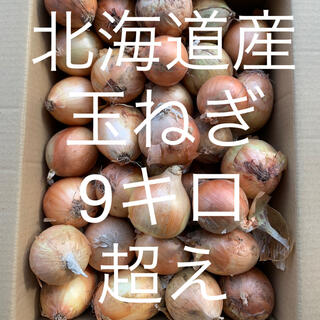 北海道産玉ねぎ　9キロ(野菜)