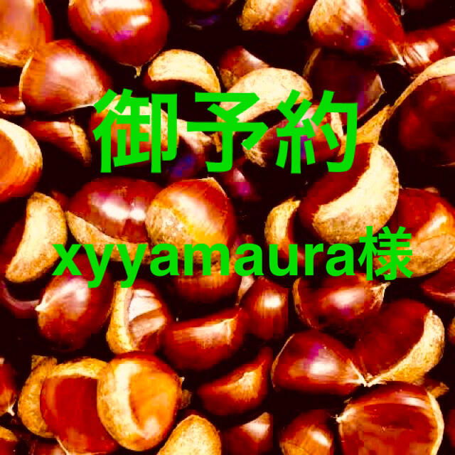 【御予約】茨城県産　栗　xyyamaura様