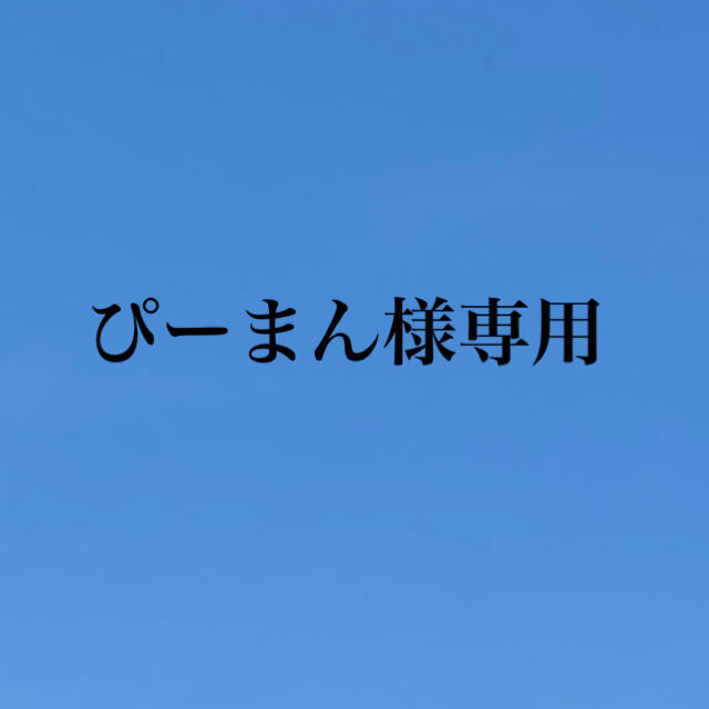 ぴーまん様専用　ナガノパープル1キロ 食品/飲料/酒の食品(フルーツ)の商品写真