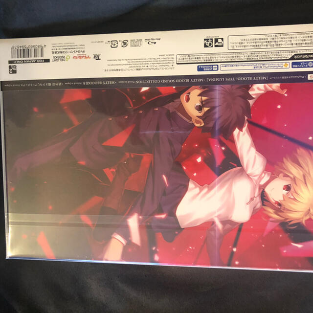 PS4 MELTY BLOOD TYPELUMINAメルティブラッドタイプルミナ