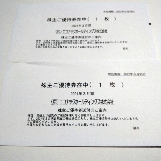 エコナックホールディングス株主優待券テルマー湯 株主平日ご優待券 2枚 テルマー湯 株主平日ご優待券2枚セット エコナックホールディングス 株主優待
