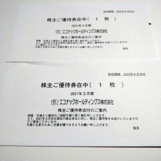 エコナックホールディングス株主優待券テルマー湯　株主平日ご優待券 2枚(その他)
