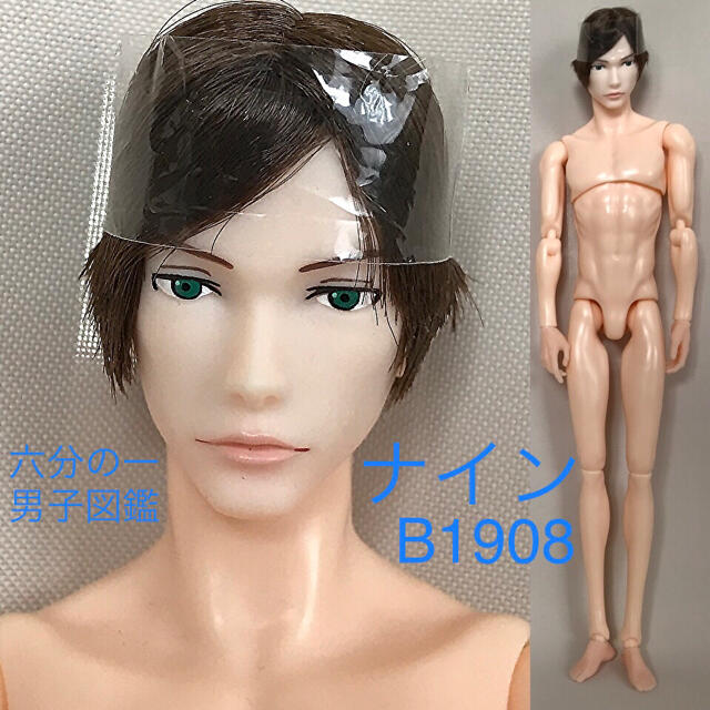 ほぼ未使用【六分の一男子図鑑】B1908 ナイン 本体 ドール  人形 1/6