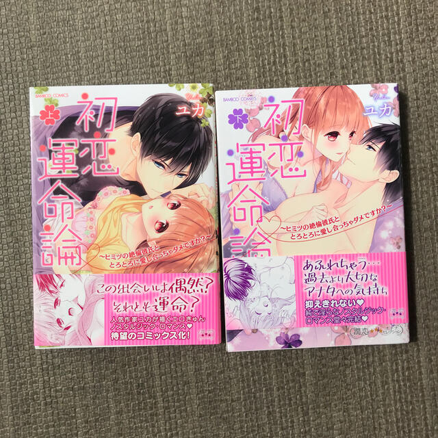 初恋運命論~ヒミツの絶倫彼氏ととろとろに愛し合っちゃダメですか?~ 上下 エンタメ/ホビーの漫画(女性漫画)の商品写真