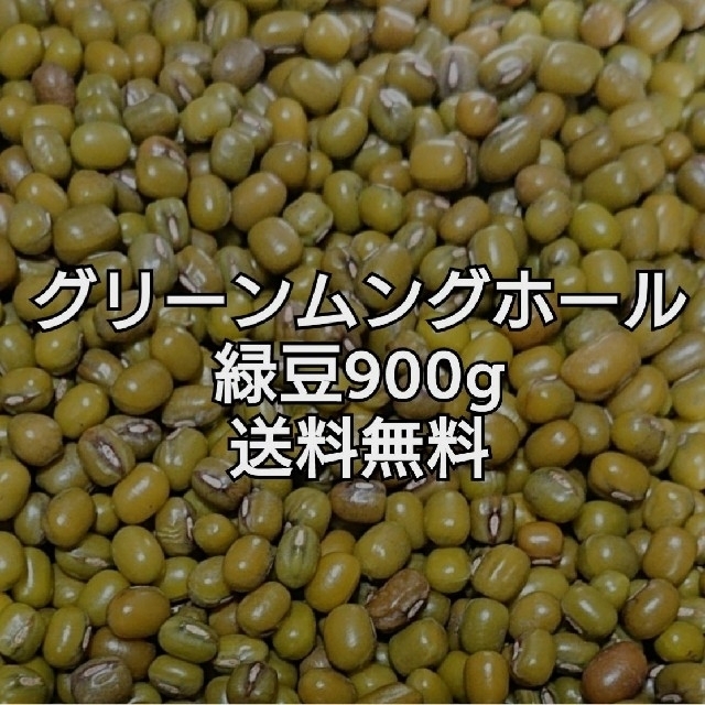 緑豆・グリーンムングホール900g・乾燥豆 食品/飲料/酒の食品(米/穀物)の商品写真