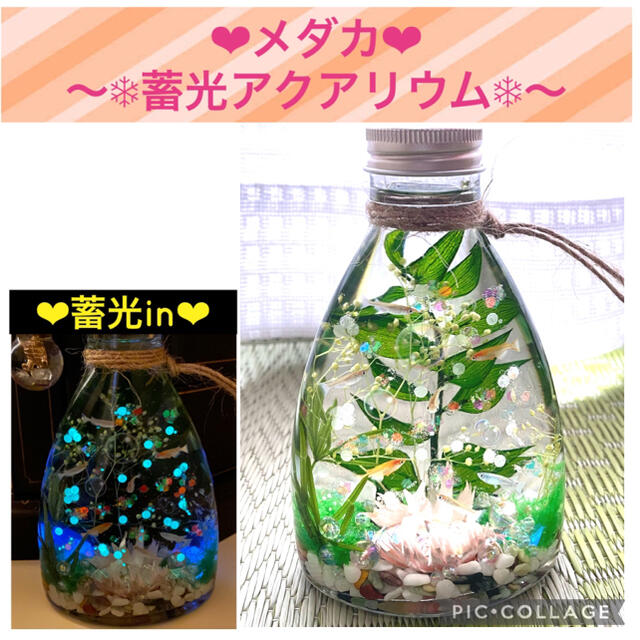 【New】〜360度アクアリウム〜水族館風♡蓄光Mixハーバリウム♡♯8