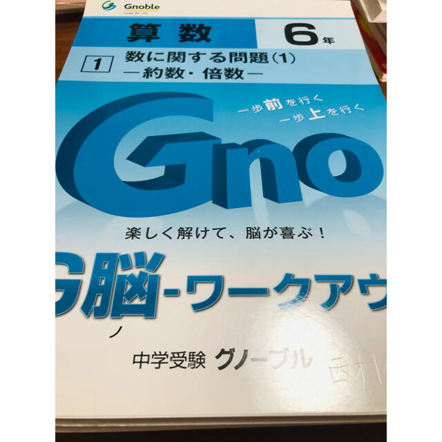 未記入【超貴重】グノーブル G脳ワークアウト 13冊