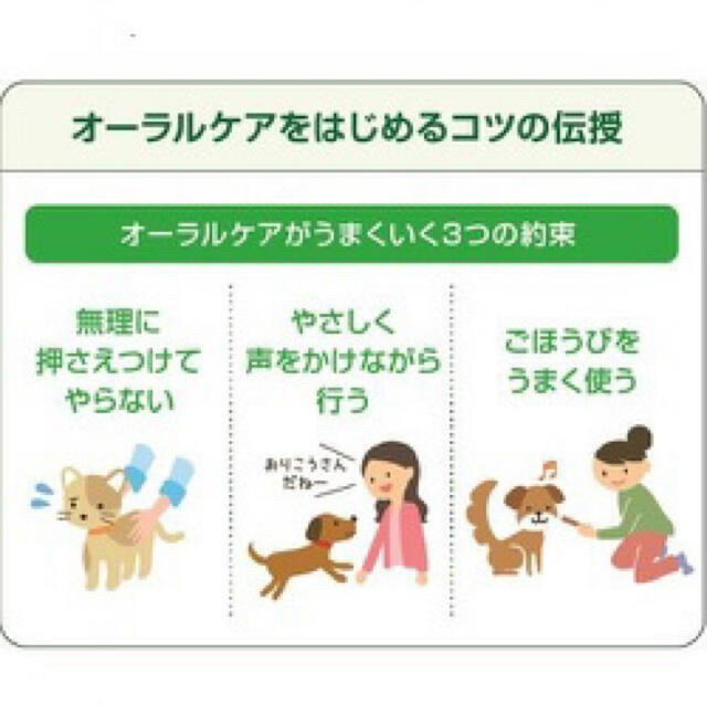 LION(ライオン)のnaoto様専用 PETKISS 食後の歯みがきガム 低カロリー 超小型犬用  その他のペット用品(ペットフード)の商品写真