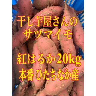 干し芋屋さんの紅はるか(ひたちなか産) 20kg(野菜)