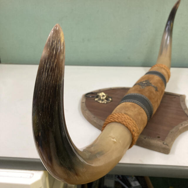 水牛の角? 壁掛け 置物 現状品 インテリア 幅約91cm 縦約37cm の通販