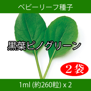 ベビーリーフ種子 B-25 黒葉ピノグリーン 1ml 約260粒 x 2袋(野菜)