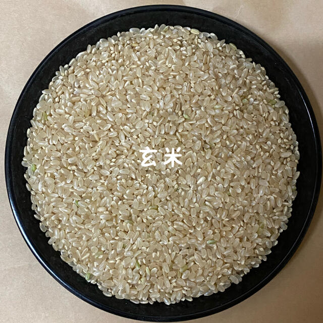 令和3年新米 自然栽培米 玄米20kg 農薬肥料不使用 コシヒカリ