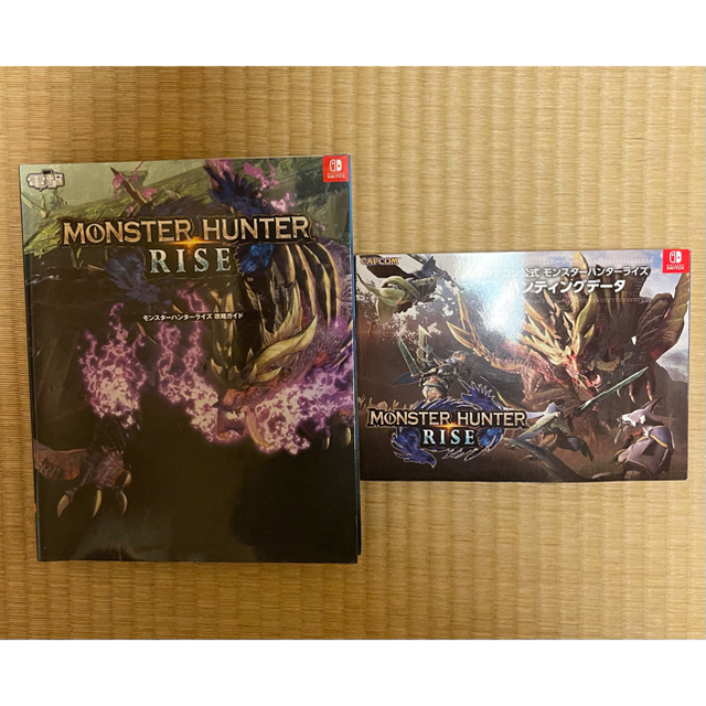 モンスターハンターライズ Switch amiibo USBケーブル 2