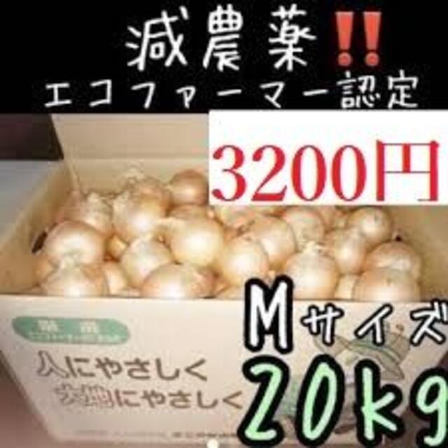 20kg　野菜　北海道産玉ねぎ　Mサイズ