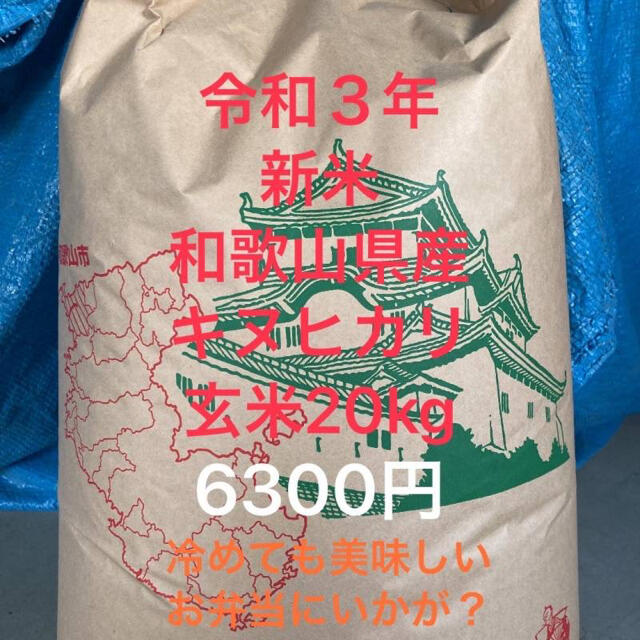 ２０kg　玄米　キヌヒカリ　米/穀物