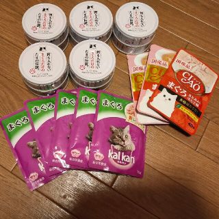 三洋食品　何も入れない　まぐろだけの　たまの伝説など(猫)