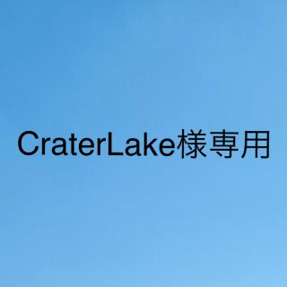 CraterLake様専用　パープル1キロ(フルーツ)