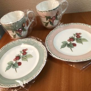 ノリタケ(Noritake)の新品ノリタケ オーチャードガーデン ペア マグカップ&プレート(食器)