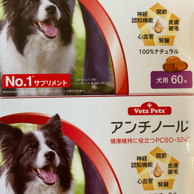 アンチノール犬用60粒2箱セット www.fujigemco.com