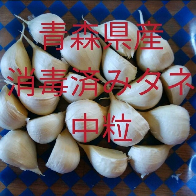 タネにんにく✤中粒✤20粒✤ニンニク 食品/飲料/酒の食品(野菜)の商品写真