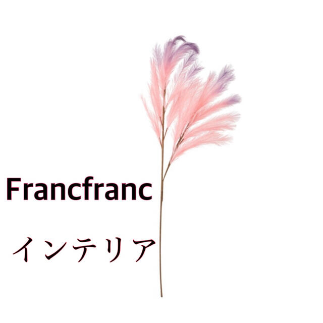 Francfranc(フランフラン)のFrancfranc フランフラン　インテリア　フェザー　羽根　おしゃれ雑貨 インテリア/住まい/日用品のインテリア小物(その他)の商品写真