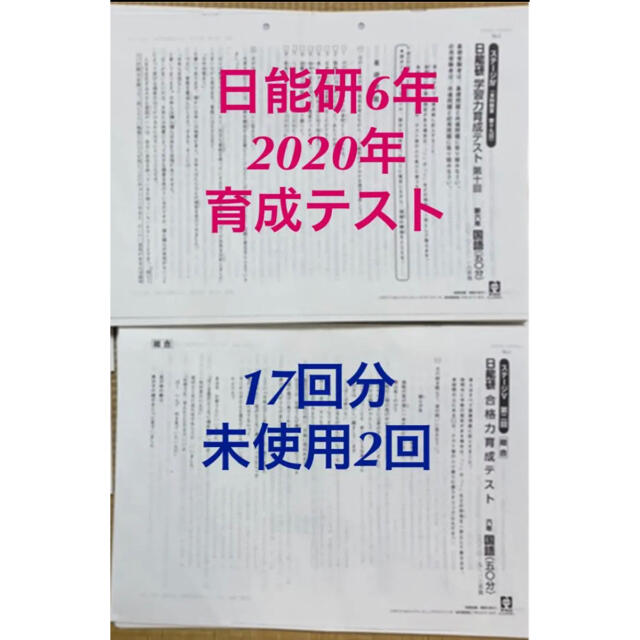 日能研　6年　育成テスト　17回分 エンタメ/ホビーの本(語学/参考書)の商品写真