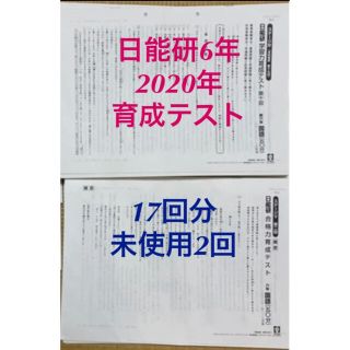 日能研　6年　育成テスト　17回分(語学/参考書)