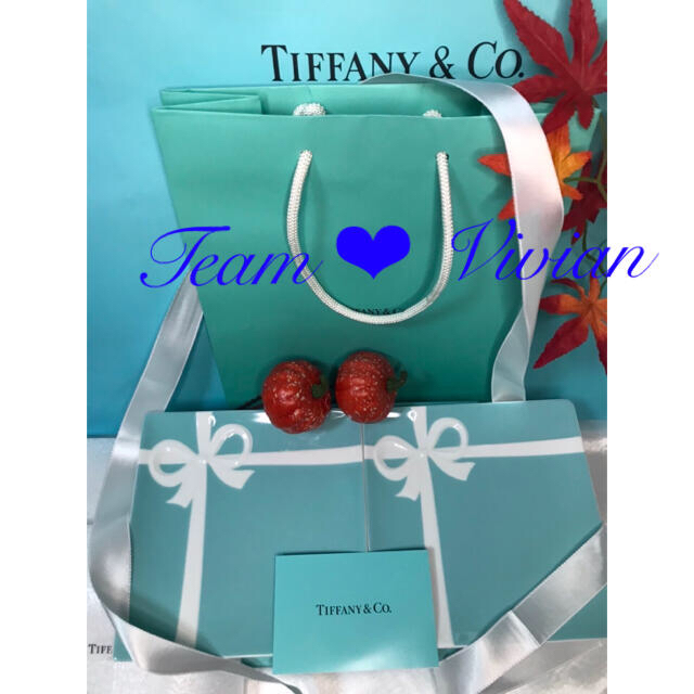 TIFFANY&Co. ブルーボウデザートプレート2枚セット