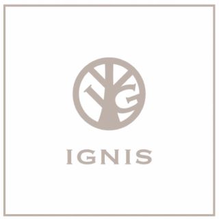 イグニス(IGNIS)の【みんと様 専用】(美容液)