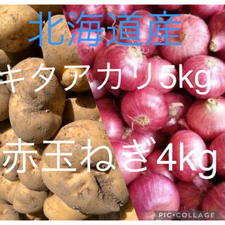 北海道産キタアカリ5kg赤玉ねぎ4kg(野菜)