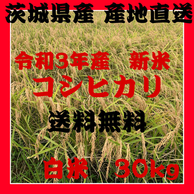 新米】令和3年　2021年　コシヒカリ　30キロ　白米30kg　茨城県産　米/穀物