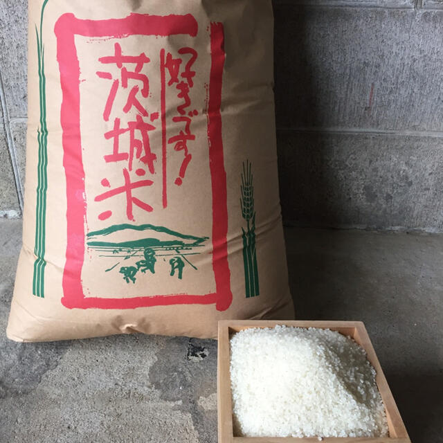 新米】令和3年 コシヒカリ 茨城県産 白米30kg 30キロ 2021年 新米】令和3年 コシヒカリ 茨城県産 白米30kg 30キロ 2021年