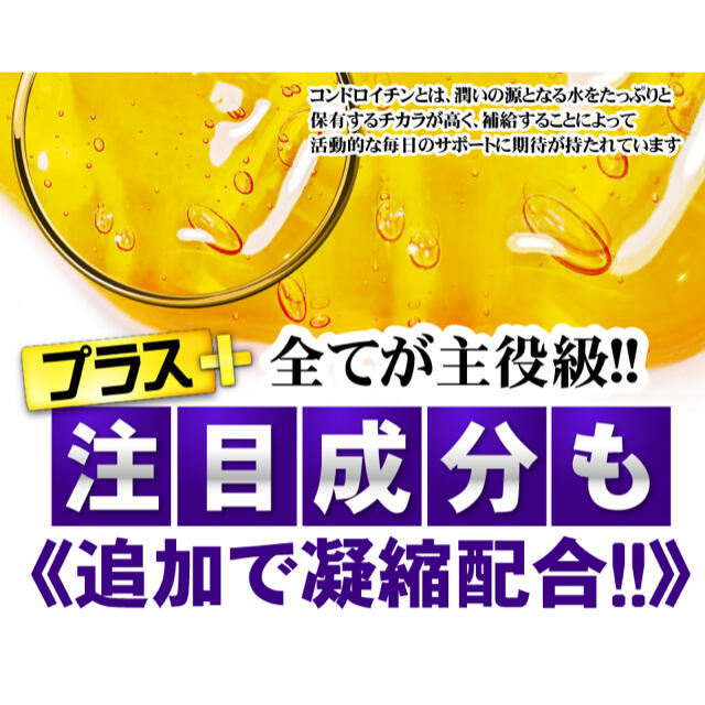 ビルベリー&ルテイン＋コンドロイチン●12ヶ月分●定価12,960円 食品/飲料/酒の健康食品(その他)の商品写真